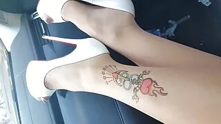 Залуу цухуйх нь хойлог ангархай нь шаргал se se