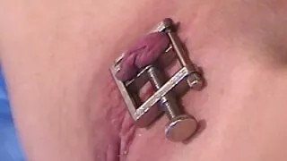 Хавтгай авъяаслаг хар үстэй морилж шодой